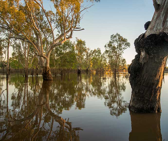 Lower Murray