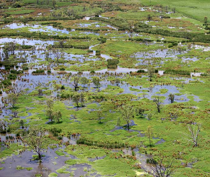 An aerial view of a wetland in the Macquarie Marshes