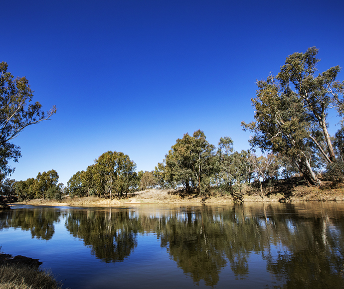 Macquarie River Trail, Dubbo