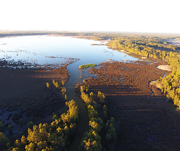  Moira Lake, part of Millewa forest, Murray Valley Regional Park