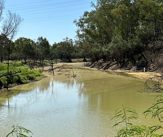 The junction of the Namoi and Barwon rivers.