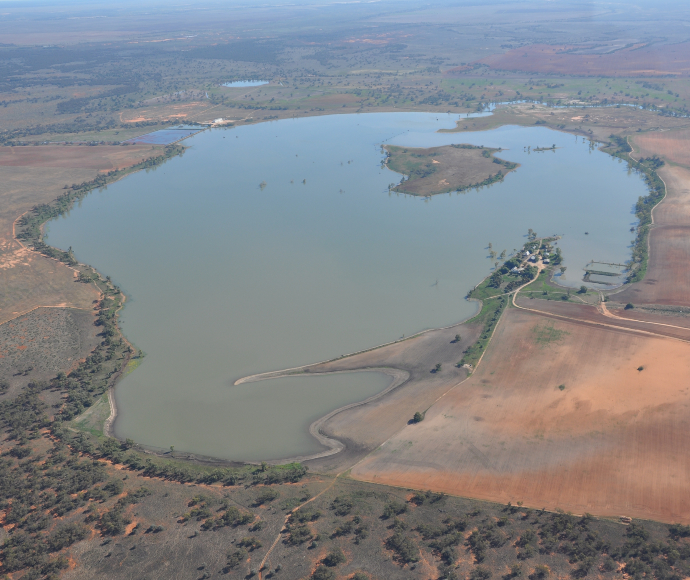 Water for the Environment continues to monitor Paika Lake to ensure southern pygmy perch thrive.