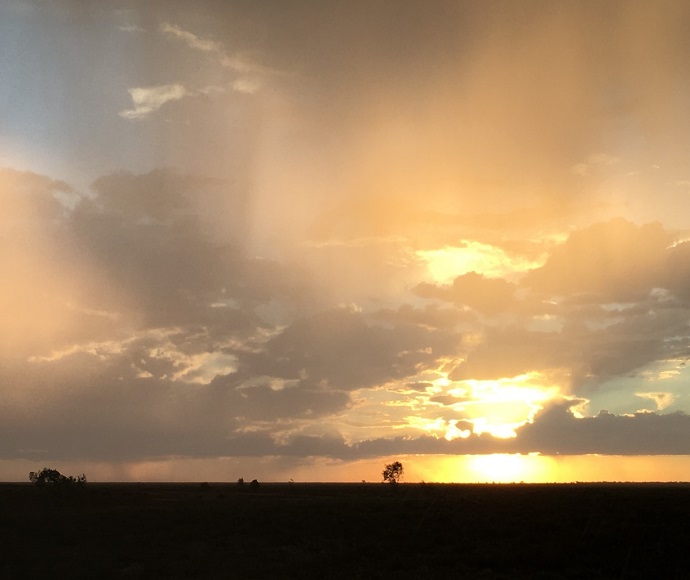 A storm forming at sunset on Toorale National Park