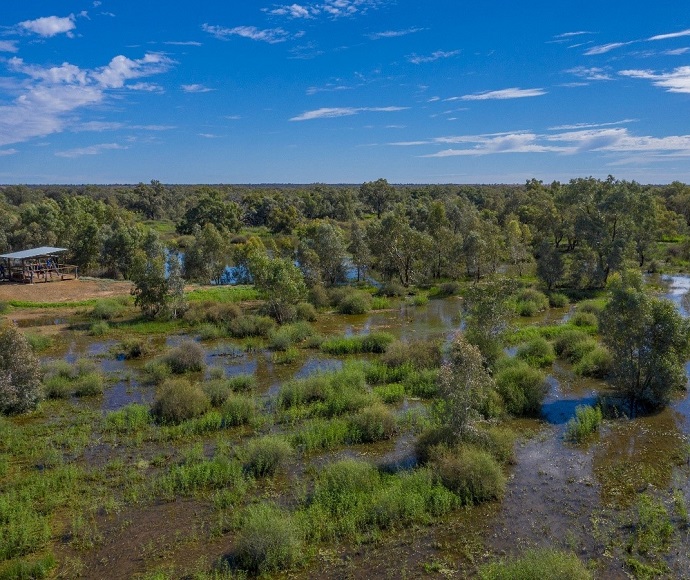 Wetland walk on the western floodplain of Toorale