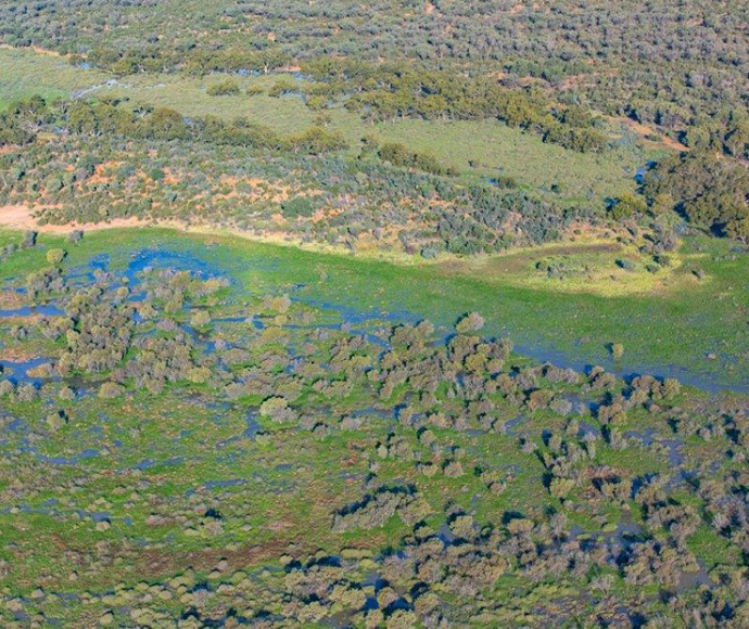 Aerial view of Toorale wetlands