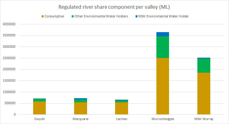 Valley and environmental water holdings