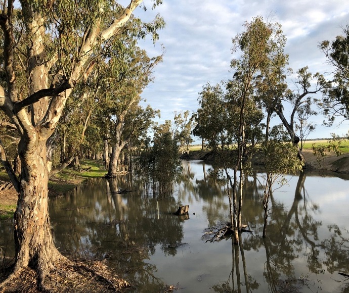 View of Bullatale Creek.