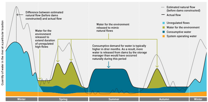 Water for the environment diagram