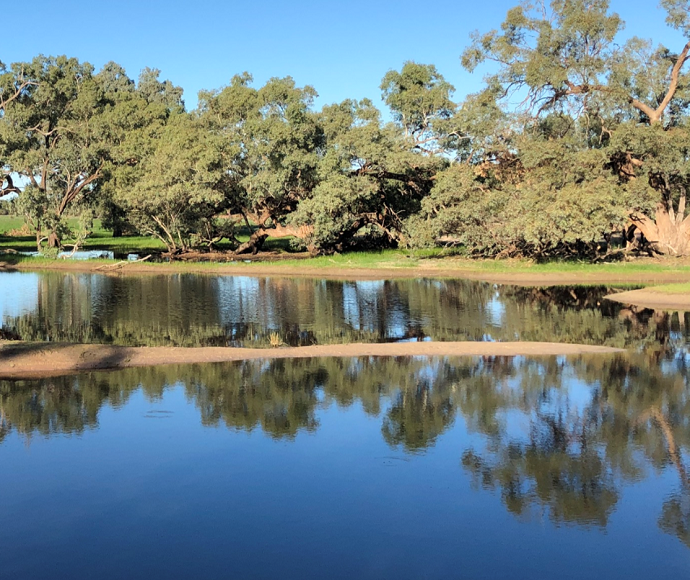 Trees reflected in water on the western floodplain, Toorale National Park